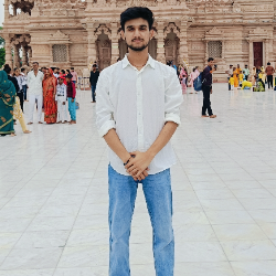 Animesh Verma-Freelancer in Dhampur,India