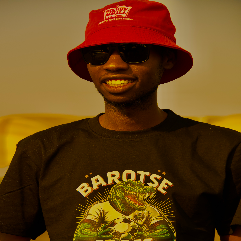 Salim Nyendwa-Freelancer in Lusaka,Zambia