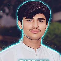 Muhammad Shafique-Freelancer in Muzaffargarh,Pakistan