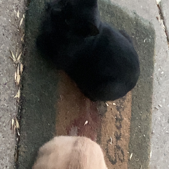 Coby Hewitt-Freelancer in Seagoville,USA