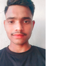 Ahir Brajesh Yadav-Freelancer in Chachu Nagla,India