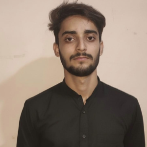 Hammad Raza-Freelancer in Karachi,Pakistan