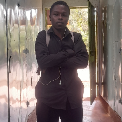 Museve Masdan-Freelancer in Nairobi,Kenya