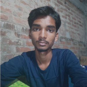 Prashant Kumar-Freelancer in Patna,India