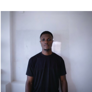 1. ELVIS BLAY-MIEZAH-Freelancer in Accra,Ghana