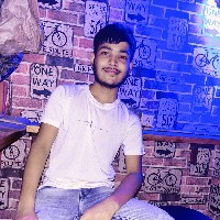 Rishabh Stark-Freelancer in Indore Division,India