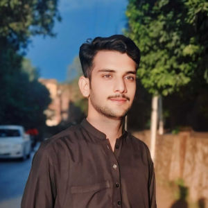 Zeshan Khan-Freelancer in Peshawar,Pakistan