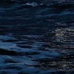 Agent S-Freelancer in Ajman,UAE