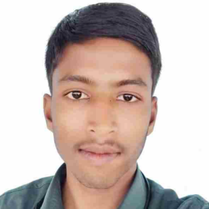 Nagendra Vishwakarma-Freelancer in Lucknow,India