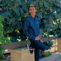 Hassan Raza-Freelancer in Faisalabad,Pakistan