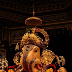 Anjali Jadhav-Freelancer in Aurangabad,India