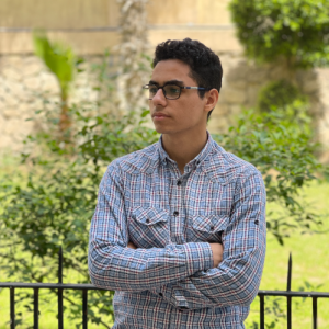 Omar Amer-Freelancer in Mansoura,Egypt
