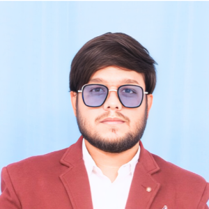B Mohammed Adil-Freelancer in Ramachandrapuram (BHEL Township),India