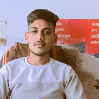 Vipulsinh Rathod-Freelancer in Gandhinagar,India