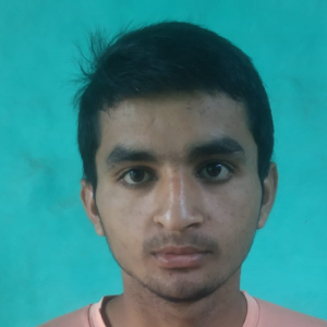Himanshu Sharma-Freelancer in Muzaffarnagar,India