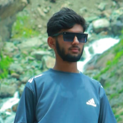 Rana Emmad-Freelancer in Rawalpindi,Pakistan