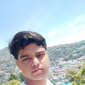 Akhil Chaudhary-Freelancer in shamli,India
