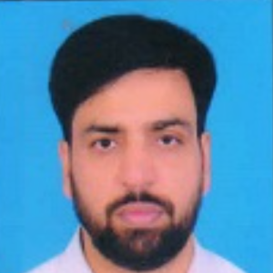Ashish Bhatia-Freelancer in New Delhi,India