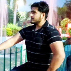 Deepak Mendiratta-Freelancer in Faridabad,India