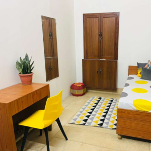 Daisy-Freelancer in New Delhi,India