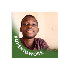 Adedayo David Fafioye-Freelancer in Port Harcourt,Nigeria