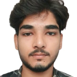Mohd Ismail-Freelancer in Pavi Sadakpur,India