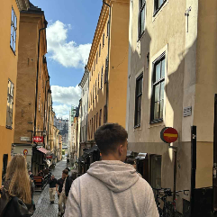 Valdemaras Irsas-Freelancer in Šlažai,Lithuania