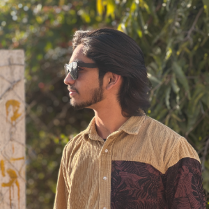 Mohit Aseri-Freelancer in Sri Ganganagar,India