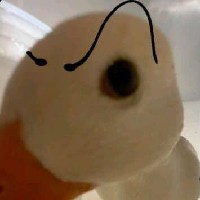 Sikha Dev-Freelancer in Jaipur Division,India