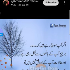 Hifza Mudassar-Freelancer in Khanpur,Pakistan