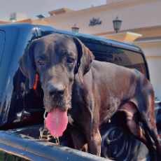 Haseeb Jutt-Freelancer in Multan,Pakistan