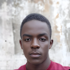 Abdullahi Alhassan-Freelancer in Abuja,Nigeria