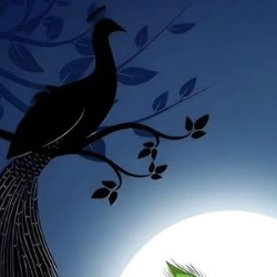 Jitu Rajput-Freelancer in Bilaspur,India