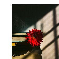 Sadia Priya-Freelancer in Mawna,Bangladesh