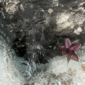 Wafa Binte Nur-Freelancer in Dhaka,Bangladesh