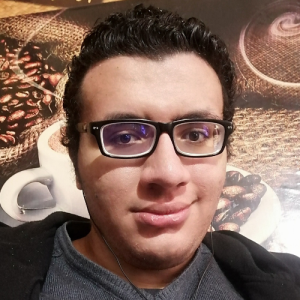 Youssef Azoz-Freelancer in ,Egypt