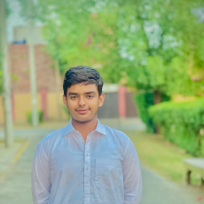 Rana Abdullah Khan-Freelancer in Chak 69 RB Ghasitpura,Pakistan