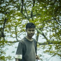 Stiphan Tudu-Freelancer in Santhal Pargana Division,India