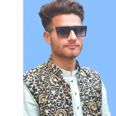 Muhammad Hanzala-Freelancer in Dera Ismail khan,Pakistan