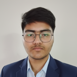 Raman Rajput-Freelancer in Landran,India