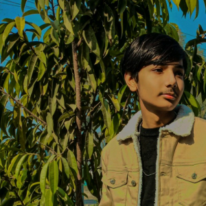 Faseeh Ilyas-Freelancer in Bahawalpur,Pakistan