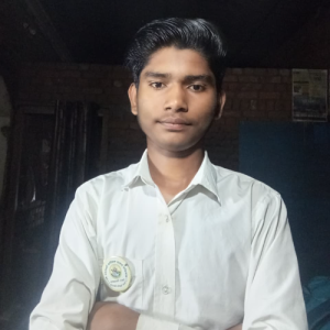 Yash Sahare-Freelancer in Chhindwara,India