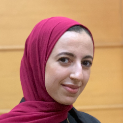 Alaa Mamdoh Ayad-Freelancer in Al Mansurah,Egypt