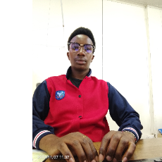 David-Freelancer in Nairobi,Kenya