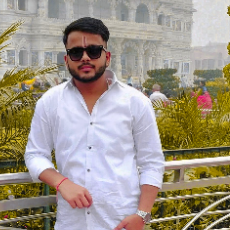 Divanshu Narwal-Freelancer in New Delhi,India