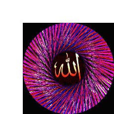 Humaira Hummy-Freelancer in Lahore,Pakistan