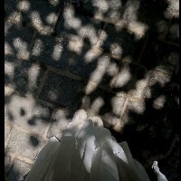 Shaima Ahmed-Freelancer in El Sahel,Egypt