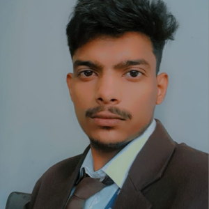 Sameer Ansari-Freelancer in Bhaisamau,India