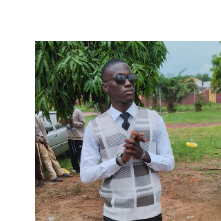 UDI OGHENERUEMU ROBSON-Freelancer in Etsako West,Nigeria