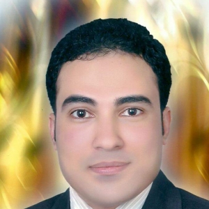 Hany Ghazal-Freelancer in Cairo,Egypt